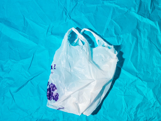 [image description: a white plastic bag with purple font that says "Thank You! Have a Nice Day" decorated with purple roses]