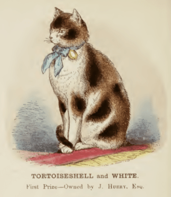 Screen Shot 2018-05-04 at 10.26.35 AM