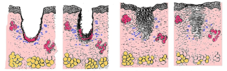 Screenshot 2018-05-03 at 3.11.36 PM